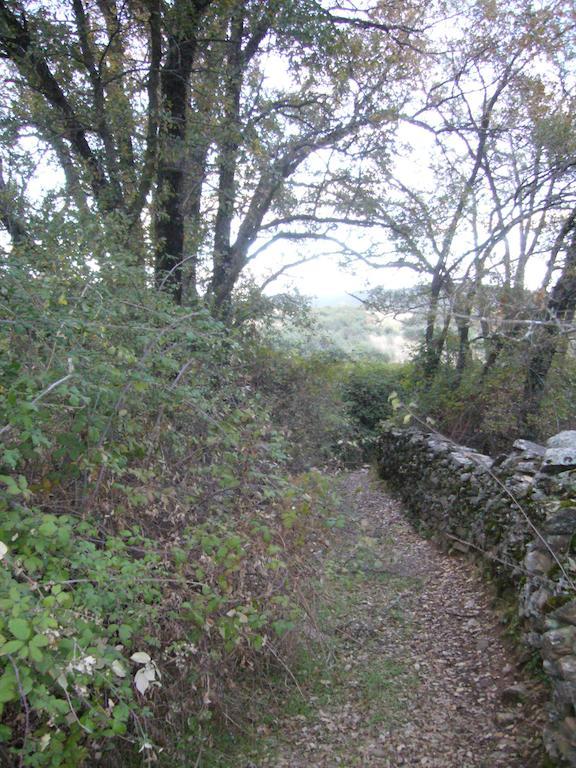 El Egio Pension Cervera de Buitrago Buitenkant foto